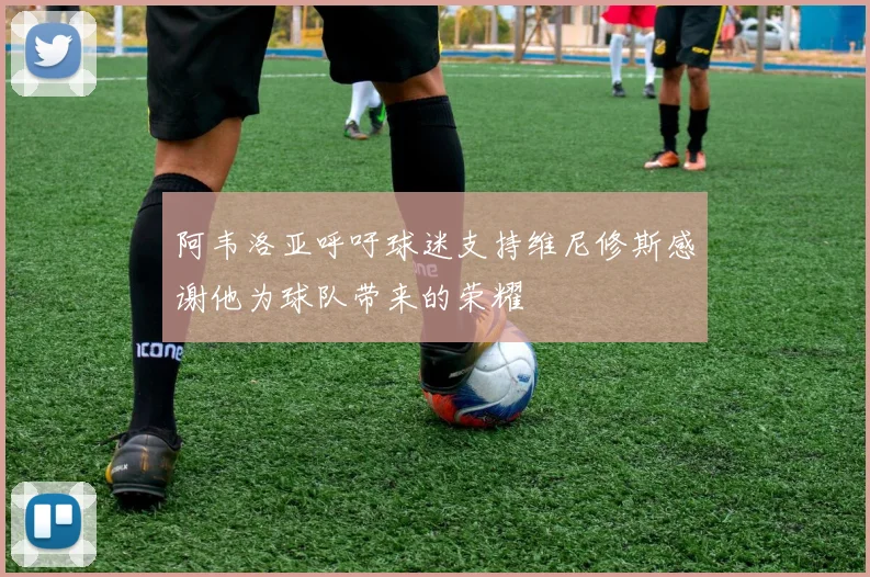 阿韦洛亚呼吁球迷支持维尼修斯感谢他为球队带来的荣耀